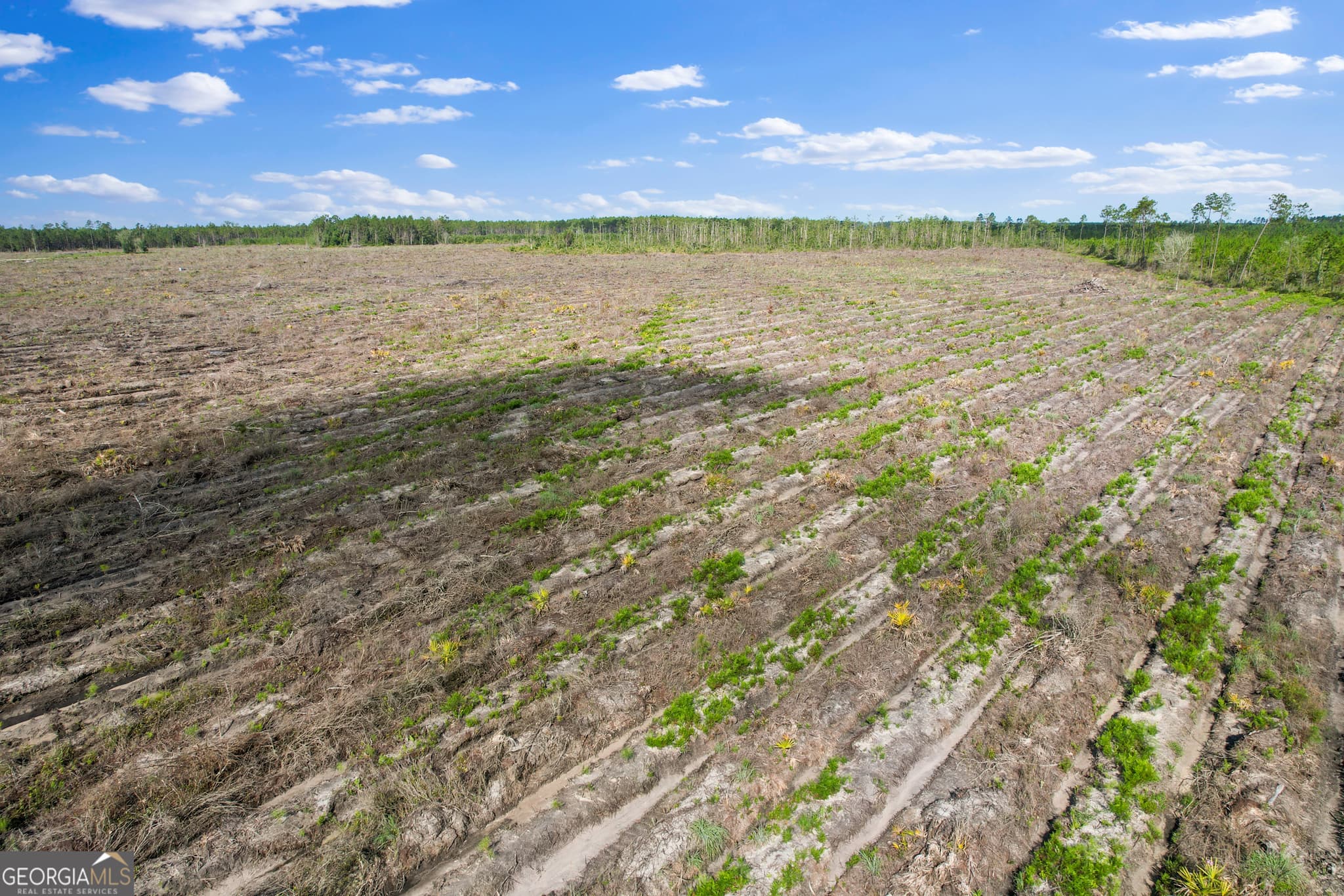 agriculture sold at TRACT 3 Morris Break Road, Odum, GA 31555