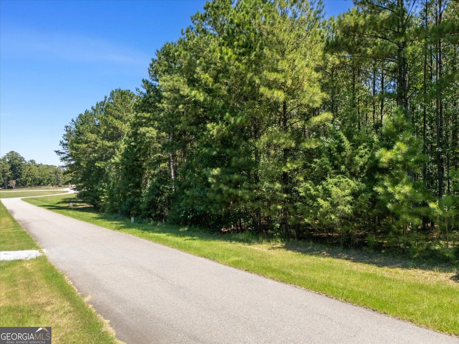 residential lot for sale at 1250 Striper Cove, Tignall, GA 30668 — photo 6