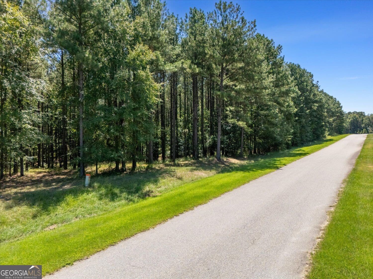 residential lot for sale at 1250 Striper Cove, Tignall, GA 30668 — photo 5