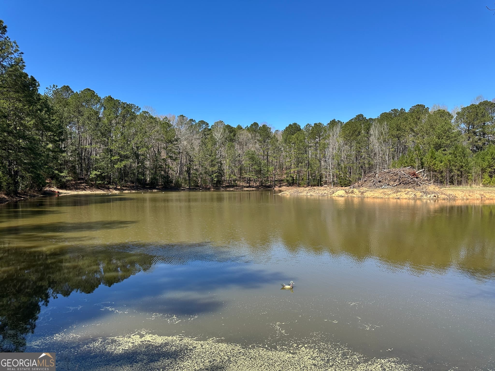 agriculture sold at 160.29 ACRES Carl Mathis Road, Talbotton, GA 31827