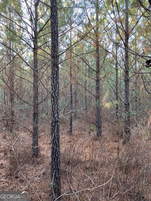 agriculture for sale at 280 Woodville Philomath Road, Rayle, GA 30660 — photo 6