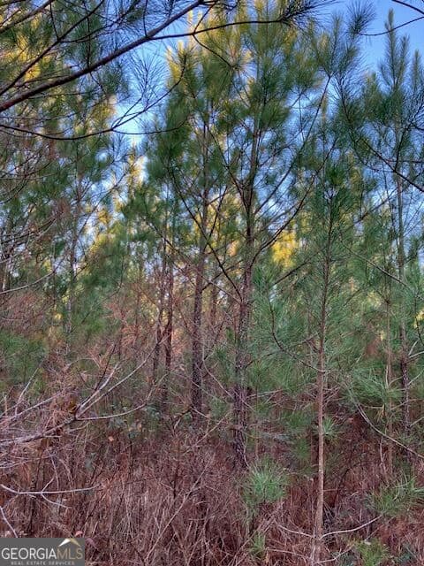 agriculture for sale at 280 Woodville Philomath Road, Rayle, GA 30660 — photo 7