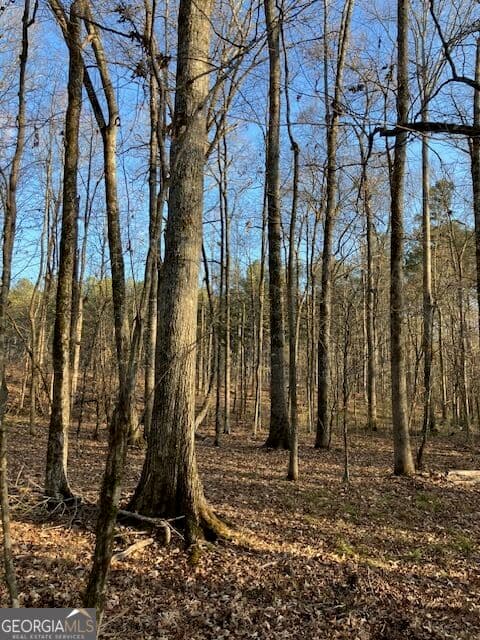 agriculture for sale at 280 Woodville Philomath Road, Rayle, GA 30660 — photo 5