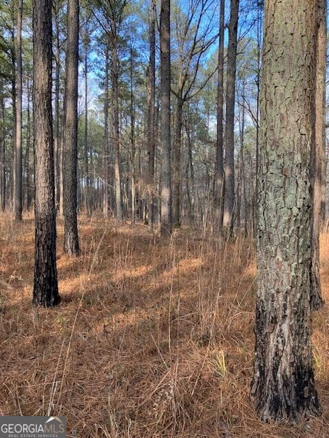 agriculture for sale at 280 Woodville Philomath Road, Rayle, GA 30660 — photo 8