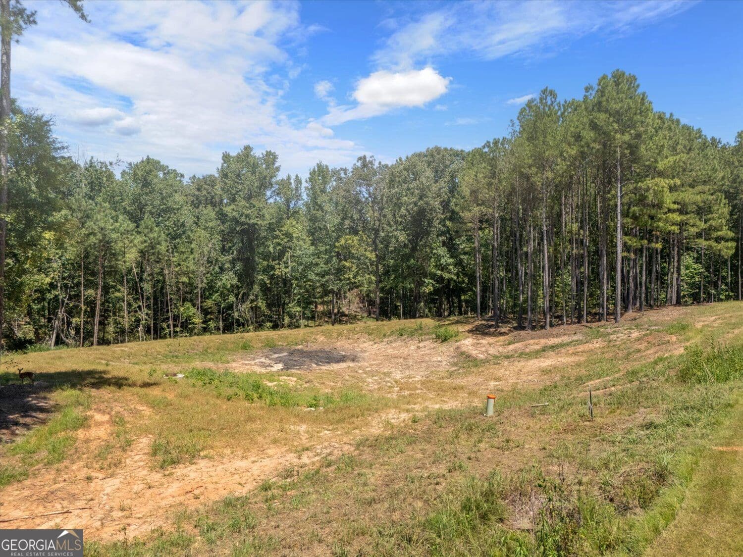 residential lot for sale at 0 Winding Ridge Drive, Tignall, GA 30668 — photo 6