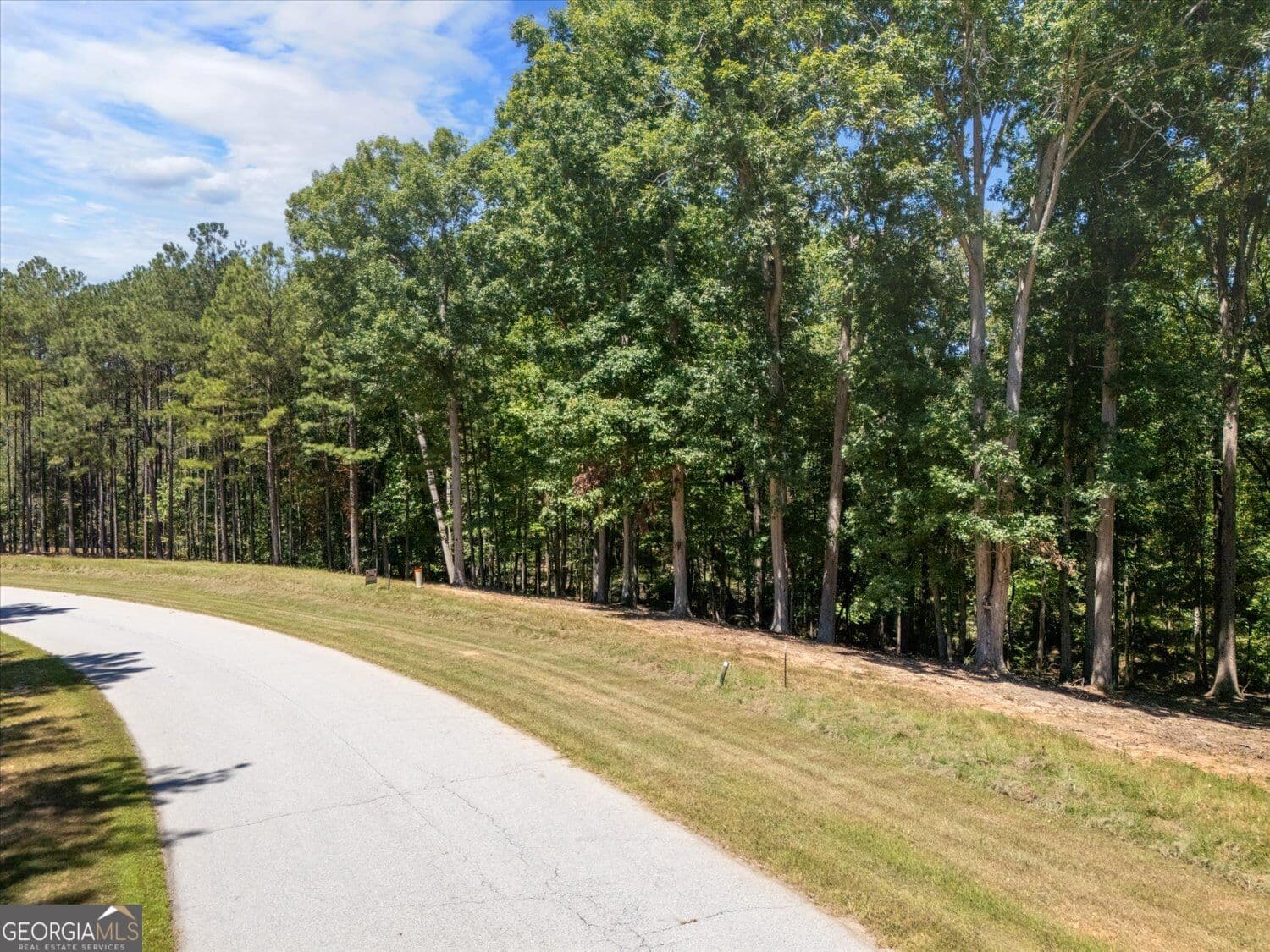 residential lot for sale at 0 Winding Ridge Drive, Tignall, GA 30668 — photo 7