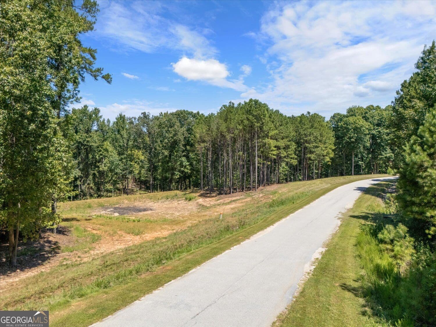 residential lot for sale at 0 Winding Ridge Drive, Tignall, GA 30668 — photo 5