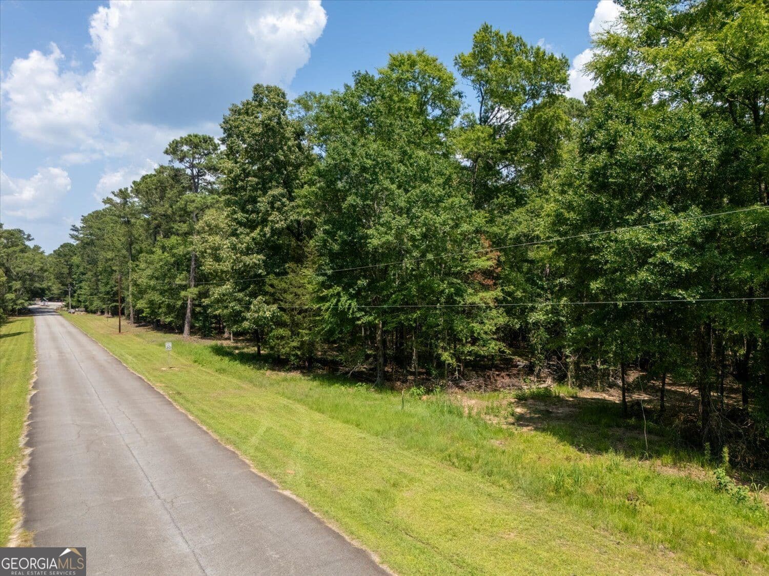 residential lot for sale at 0 Winding Ridge Drive, Tignall, GA 30668 — photo 9