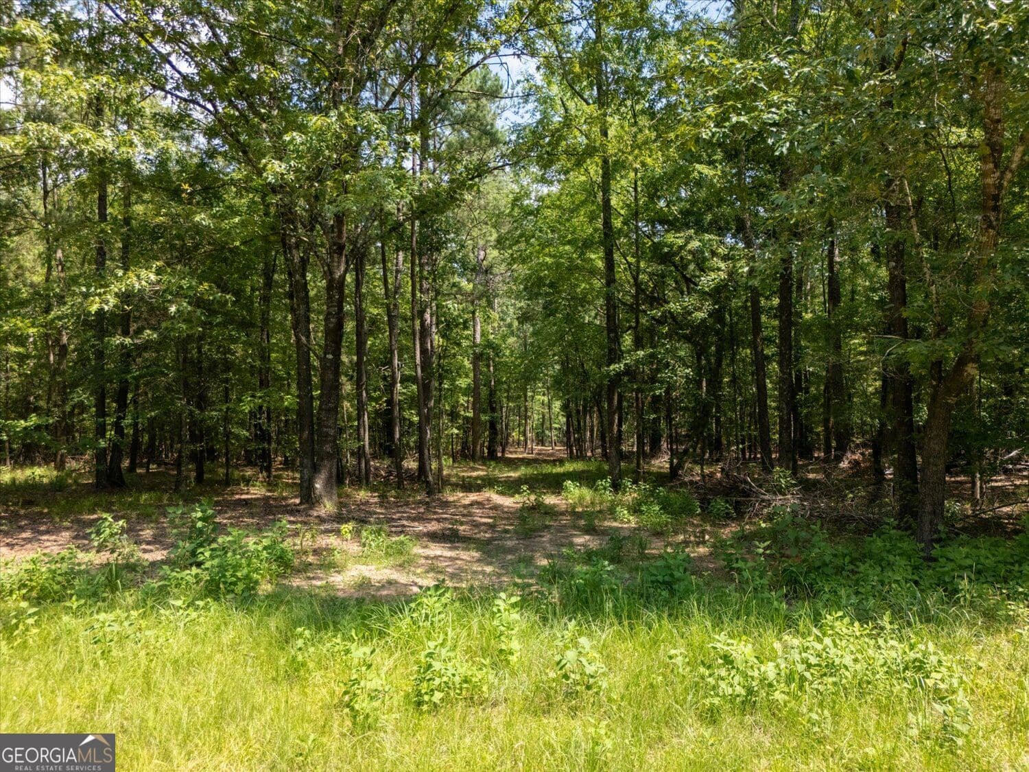 residential lot for sale at 0 Winding Ridge Drive, Tignall, GA 30668 — photo 10