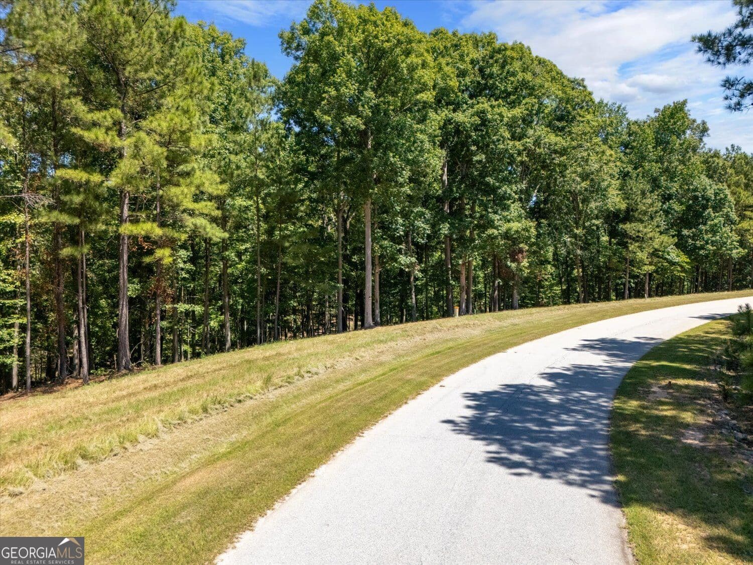 residential lot for sale at 0 Winding Ridge Drive, Tignall, GA 30668 — photo 8