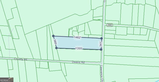 agriculture for sale at 0 Lawrence Church Road, Pembroke, GA 31321 — photo 4