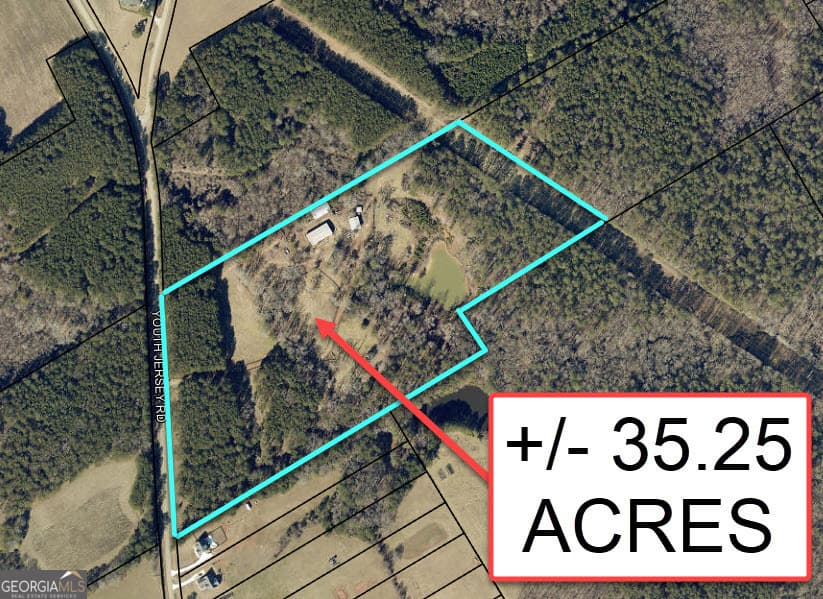 agriculture for sale at 35 ACRES Youth Jersey Road, Covington, GA 30014 — photo 3