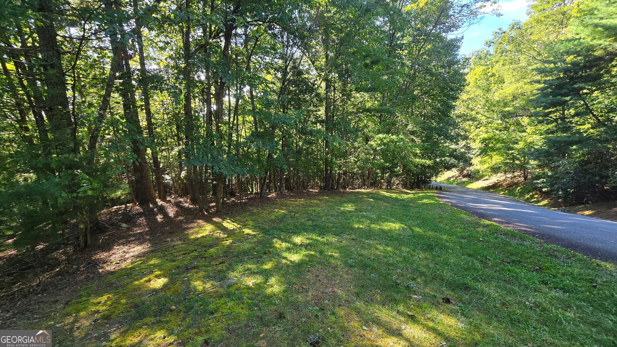 unimproved land for sale at LOT 40 Double Knob, Hayesville, NC 28904 — photo 6