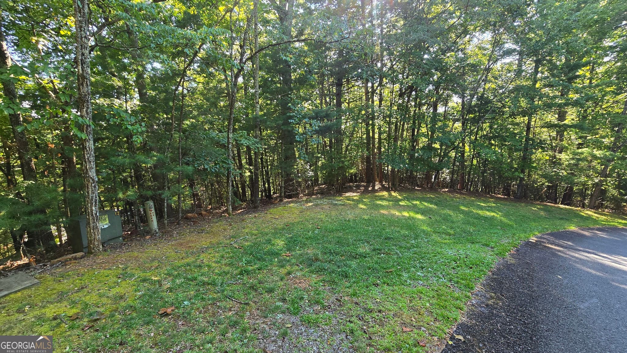 unimproved land for sale at LOT 40 Double Knob, Hayesville, NC 28904 — photo 7