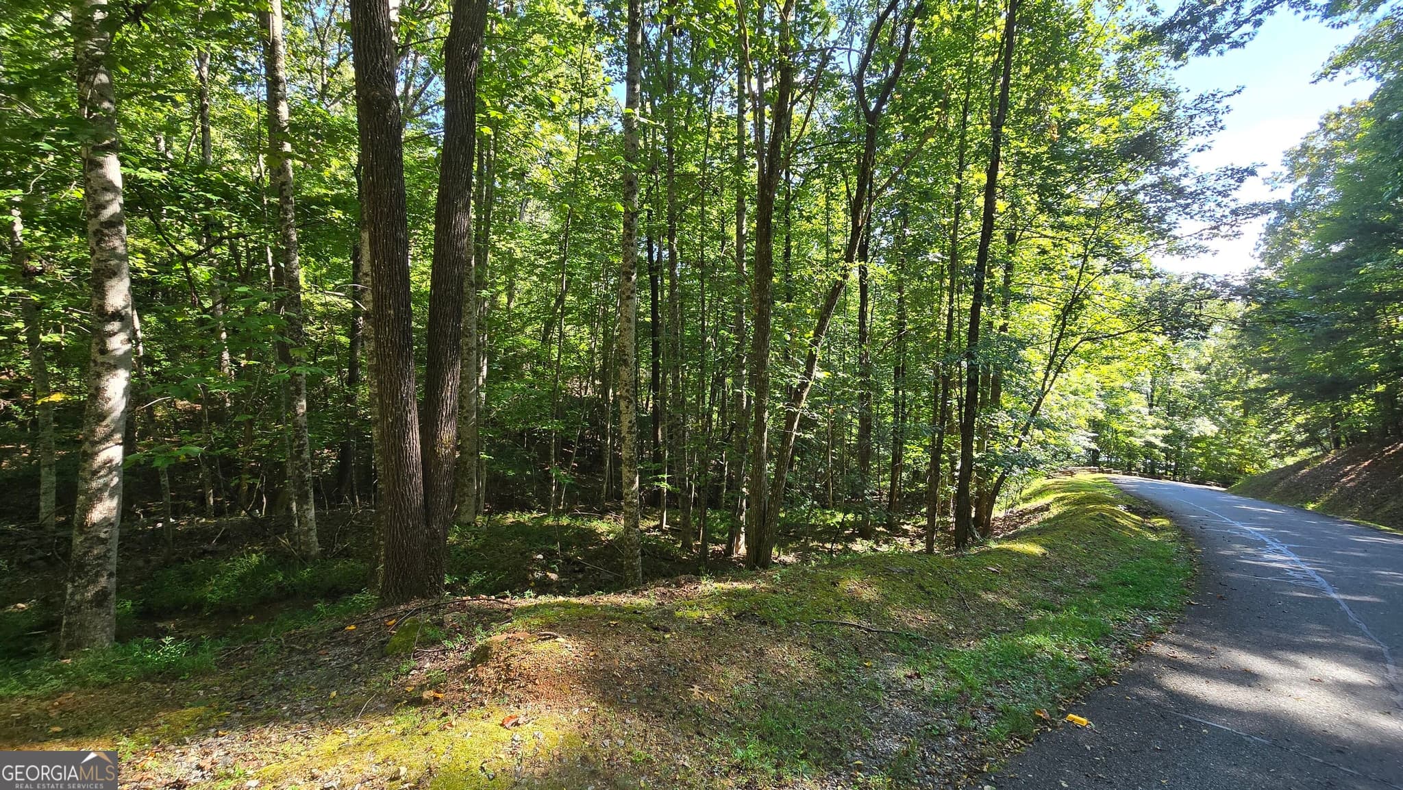 unimproved land for sale at LOT 40 Double Knob, Hayesville, NC 28904 — photo 5