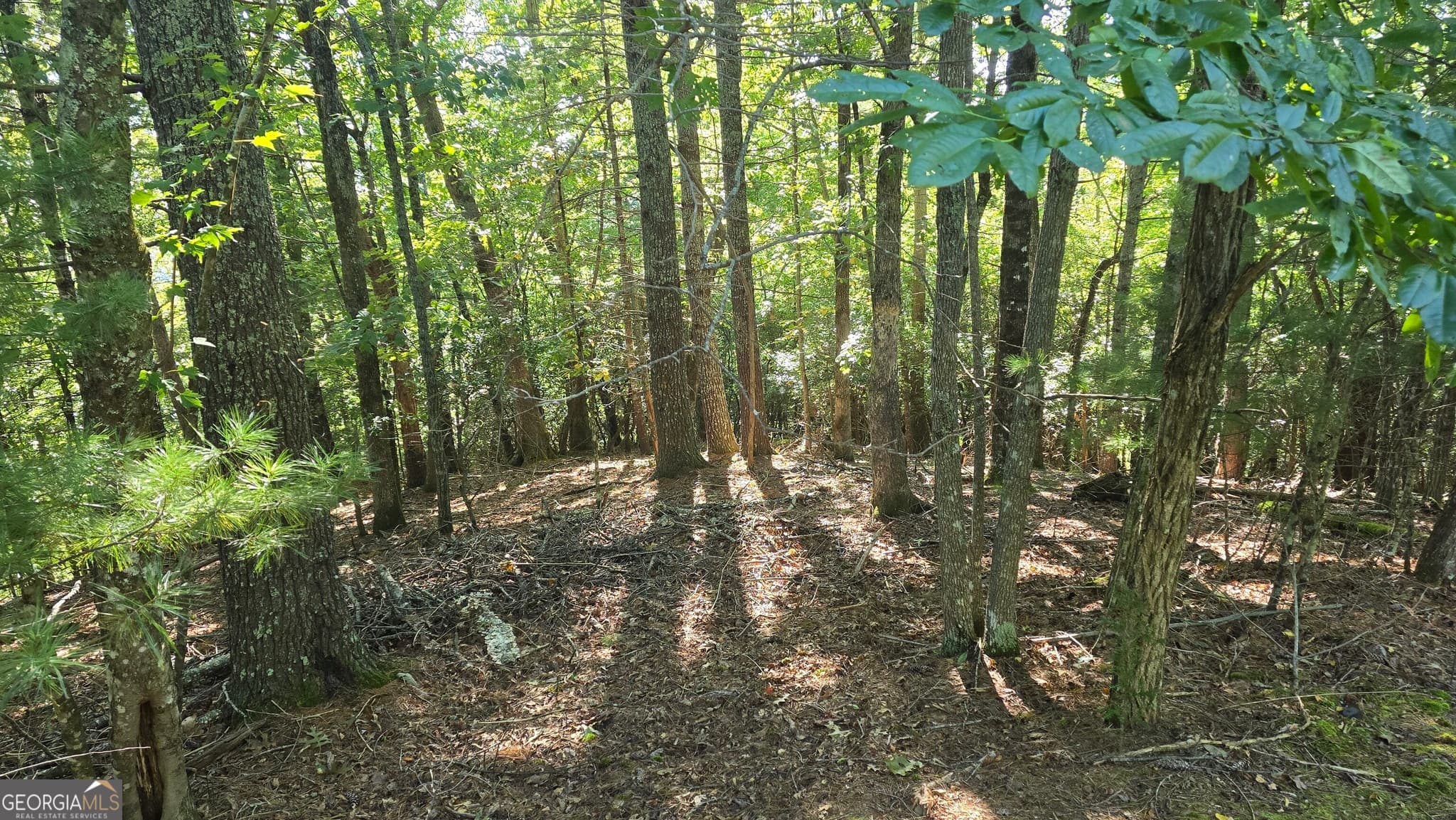 unimproved land for sale at LOT 40 Double Knob, Hayesville, NC 28904 — photo 9