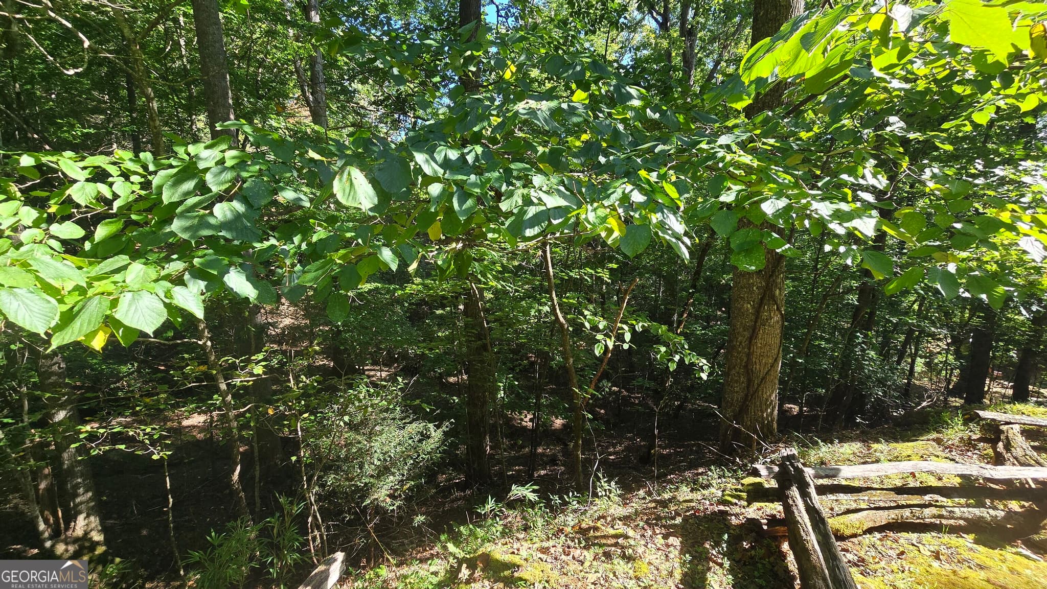 unimproved land for sale at LOT 40 Double Knob, Hayesville, NC 28904 — photo 10