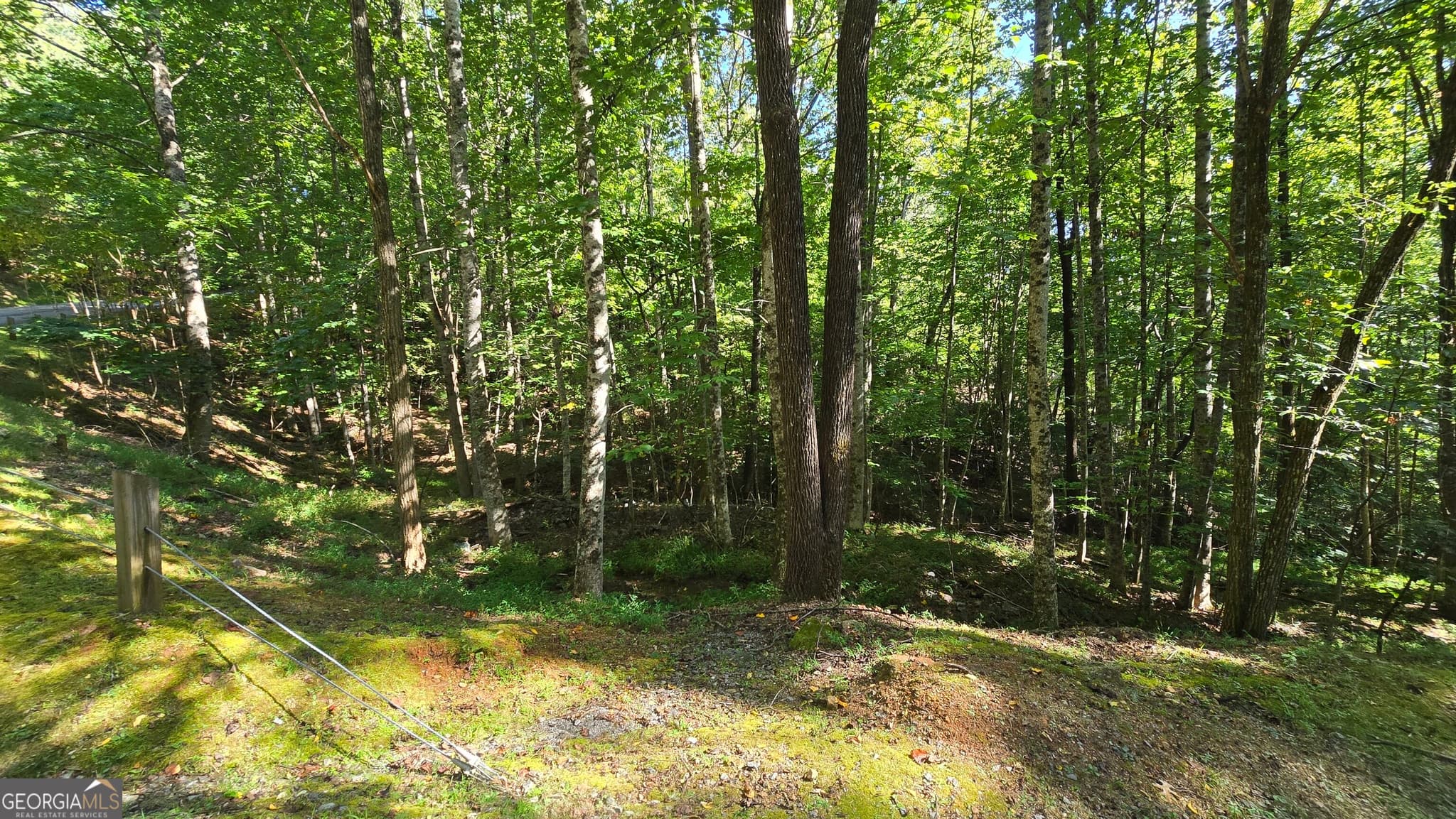 unimproved land for sale at LOT 40 Double Knob, Hayesville, NC 28904 — photo 4