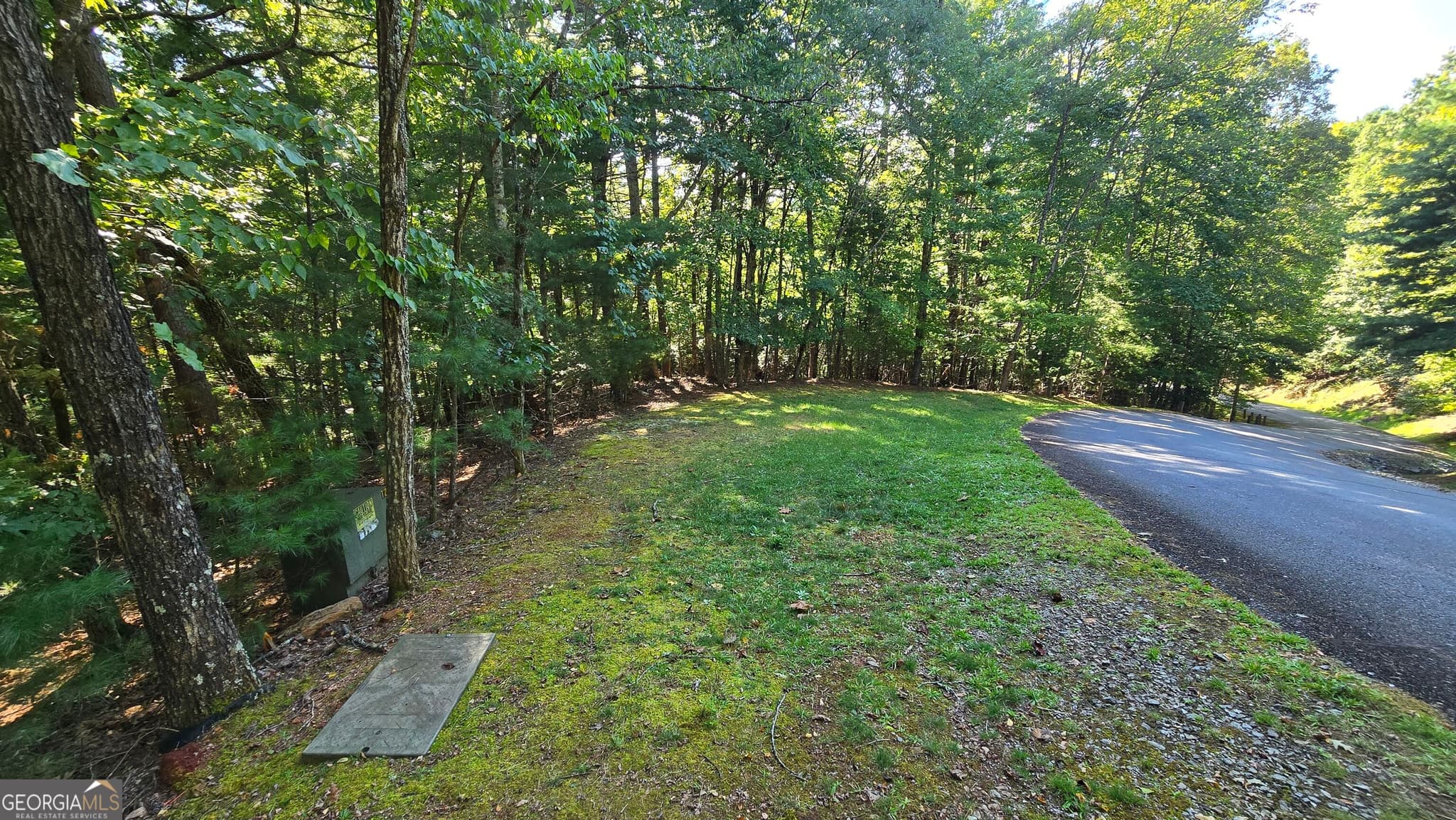 unimproved land for sale at LOT 40 Double Knob, Hayesville, NC 28904 — photo 8