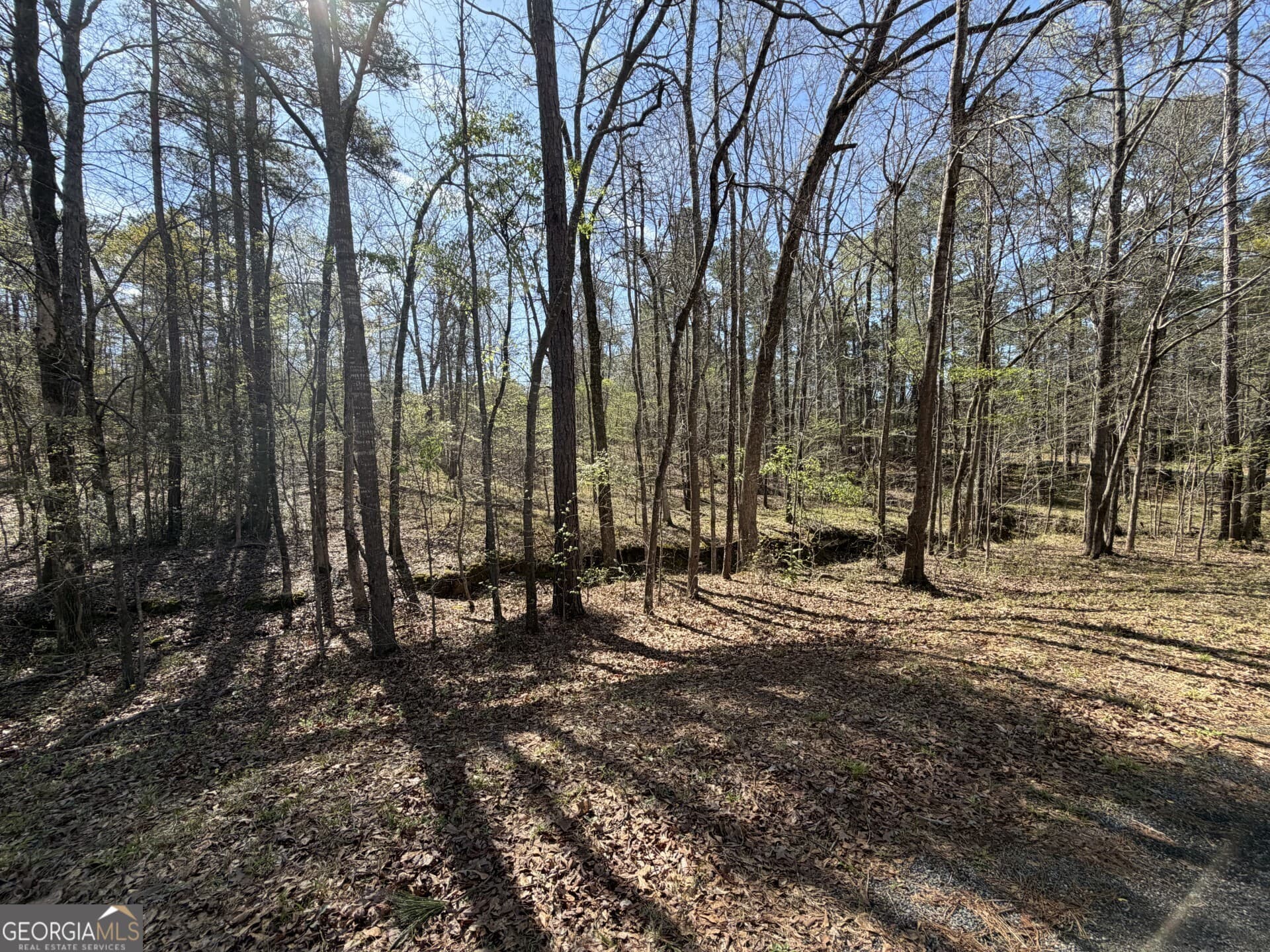 unimproved land for sale at 0 Welker Circle, Macon, GA 31211 — photo 1 of 1