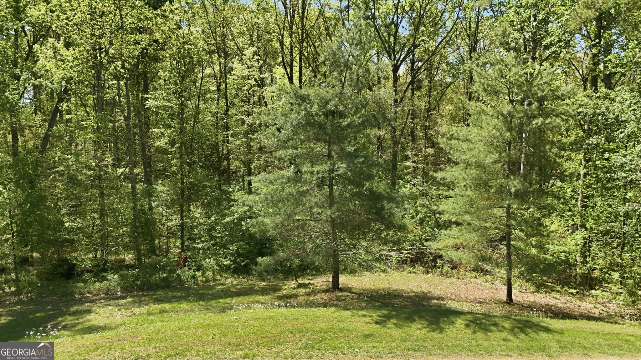 residential lot for sale at LOT 3 Fenwick Wood Road, Clarkesville, GA 30523 — photo 9