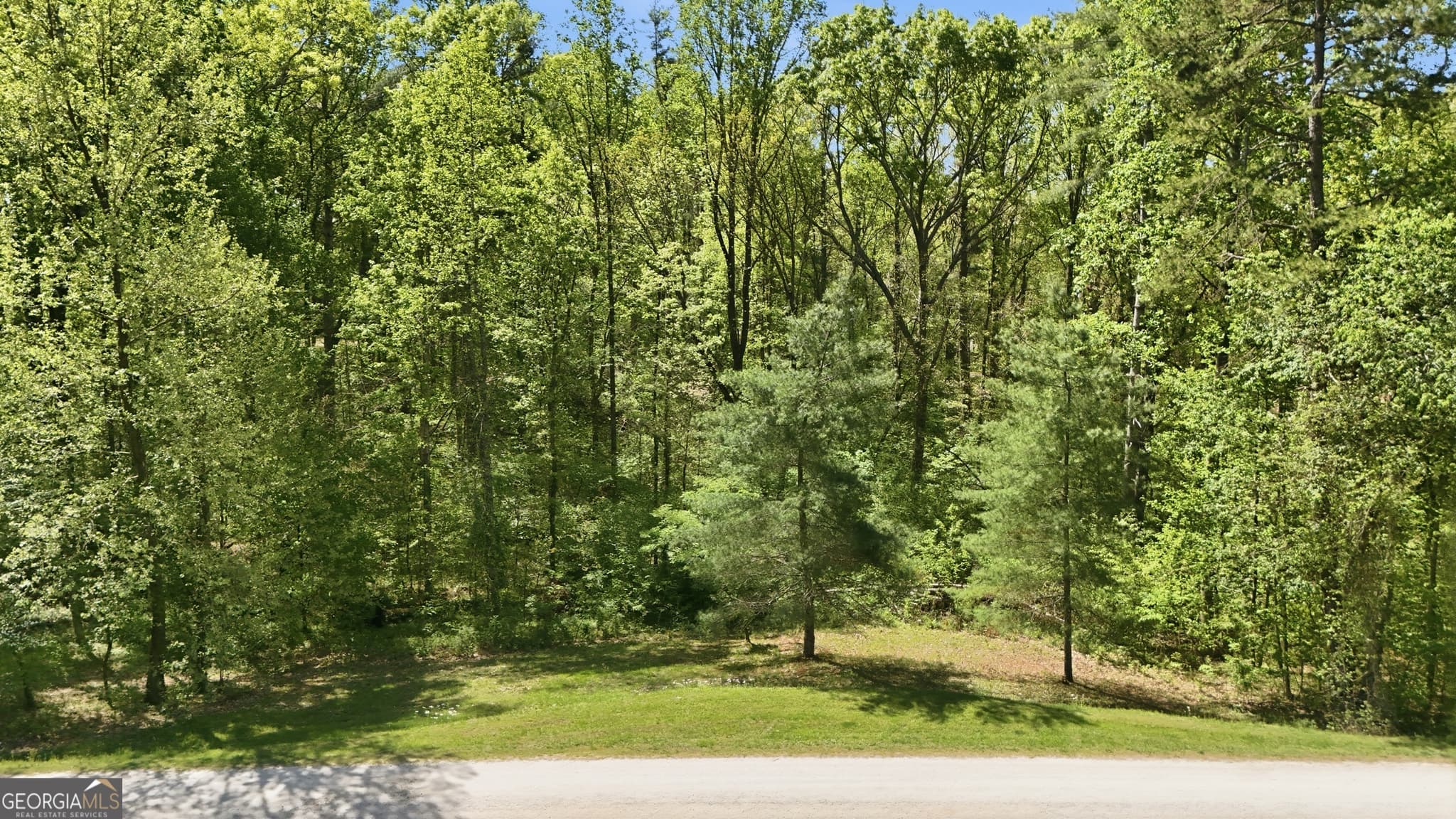 residential lot for sale at LOT 3 Fenwick Wood Road, Clarkesville, GA 30523 — photo 10