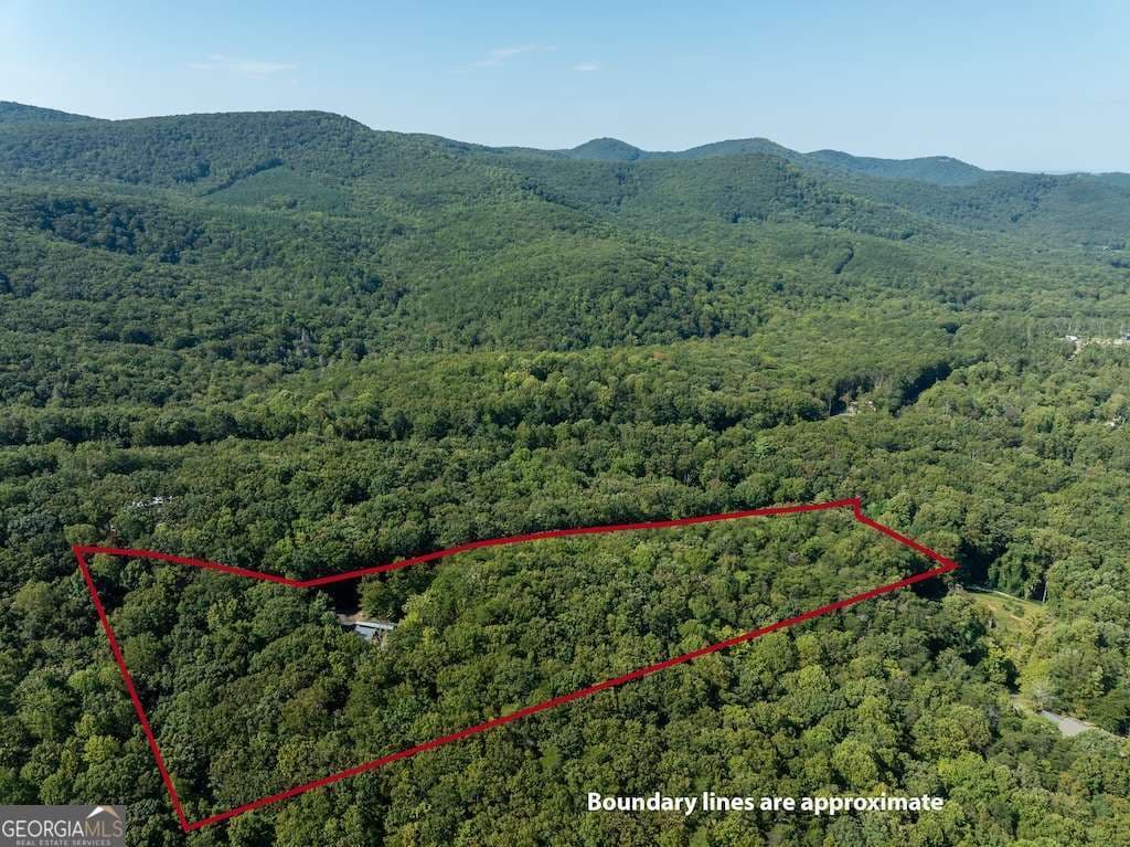 2 bedroom, 2 bathroom, 1,280 sq ft cabin,single family residence for sale at 214 Dickerson Drive, Ellijay, GA 30536 — photo 4