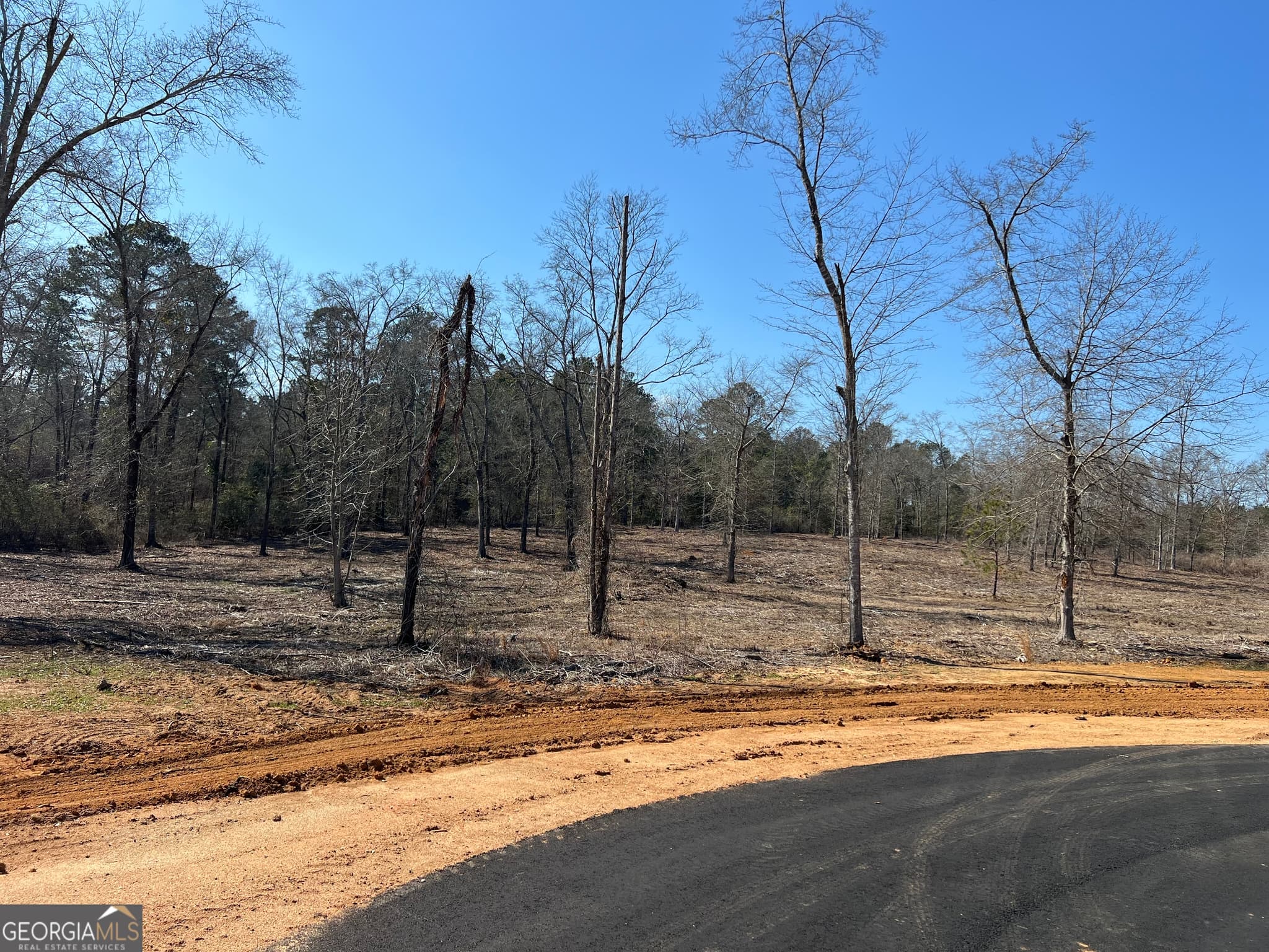 residential lot for sale at 0 Holly Ridge LOT 4, Dublin, GA 31021 — photo 1 of 6