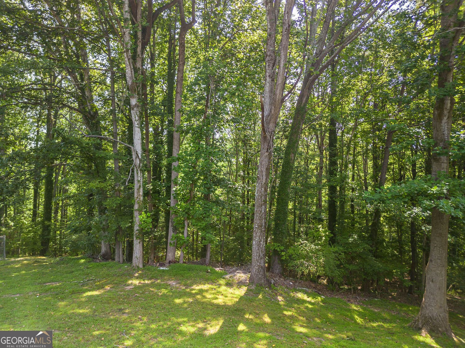 unimproved land for sale at 0 Niskey Lake Road, Atlanta, GA 30331 — photo 3