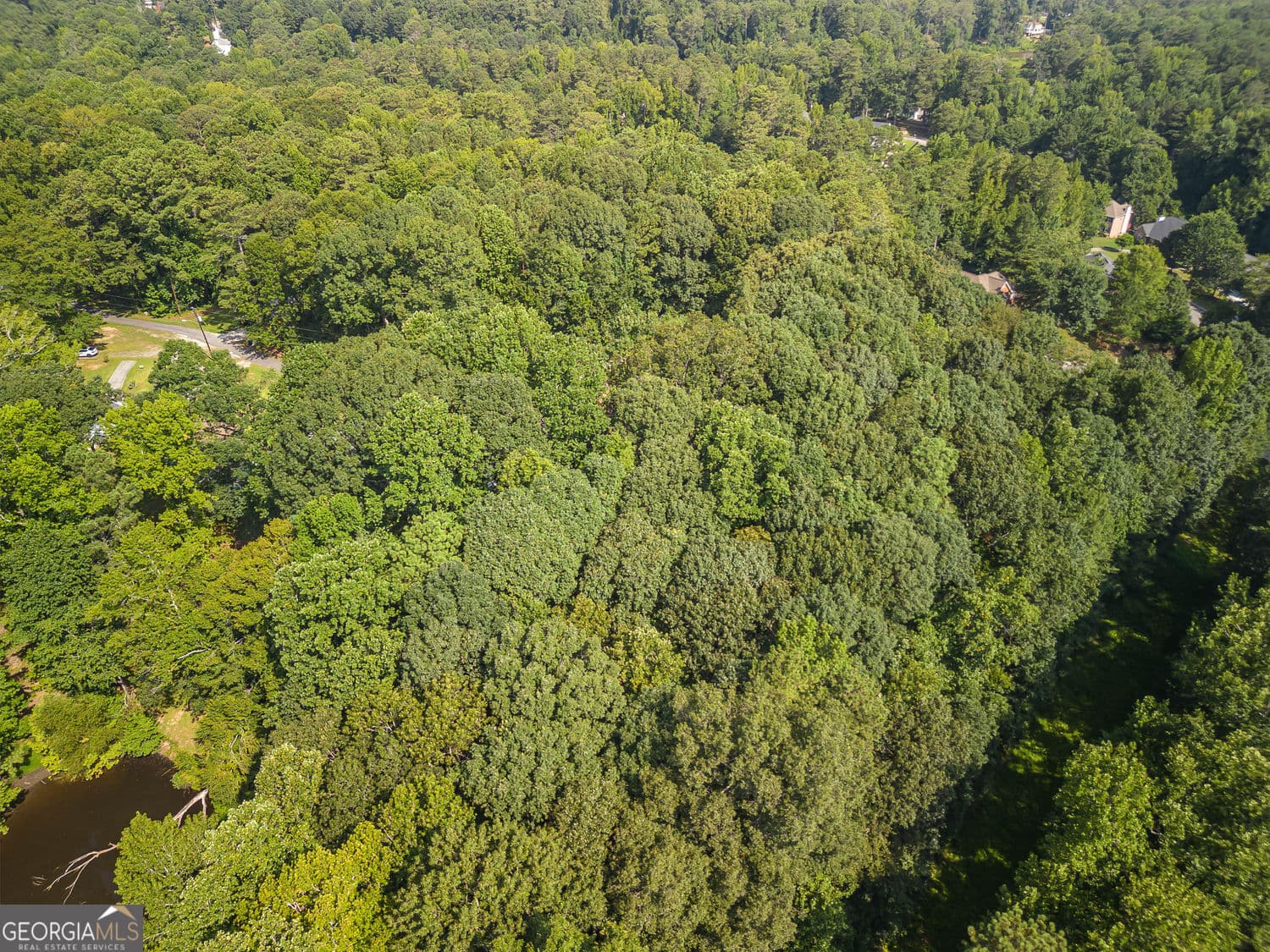 unimproved land for sale at 0 Niskey Lake Road, Atlanta, GA 30331 — photo 8
