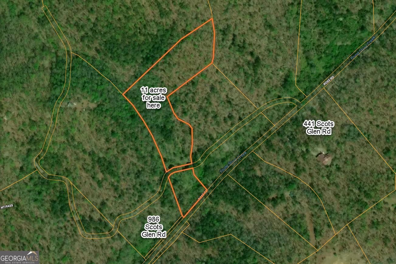 agriculture for sale at 0 Scots Glen, Mineral Bluff, GA 30559 — photo 7