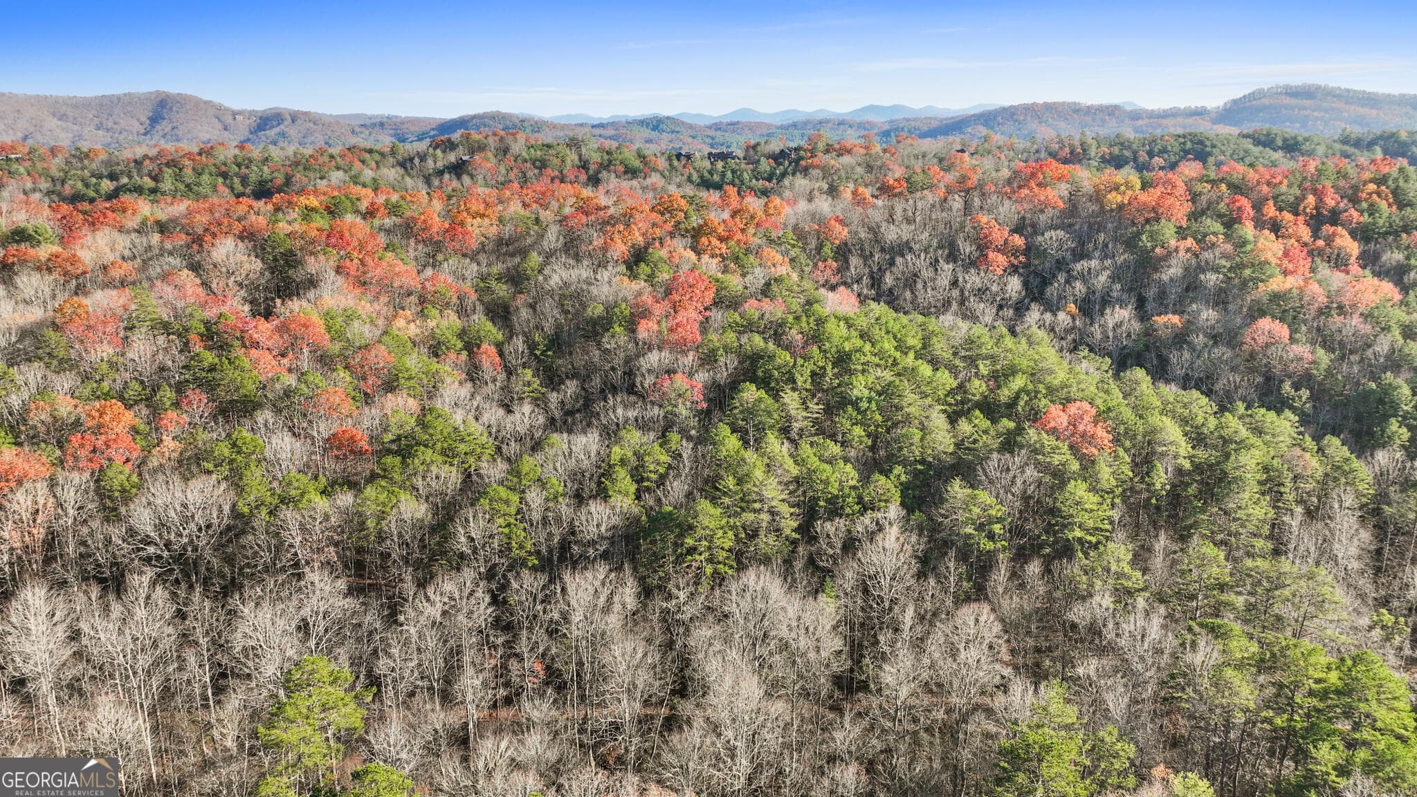 agriculture for sale at 0 Scots Glen, Mineral Bluff, GA 30559 — photo 3