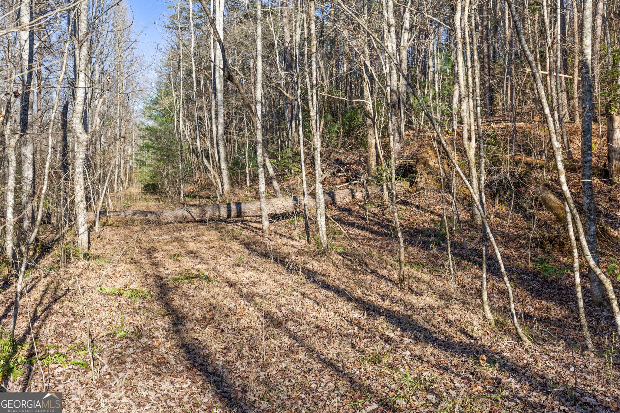 agriculture for sale at 0 Scots Glen, Mineral Bluff, GA 30559 — photo 5