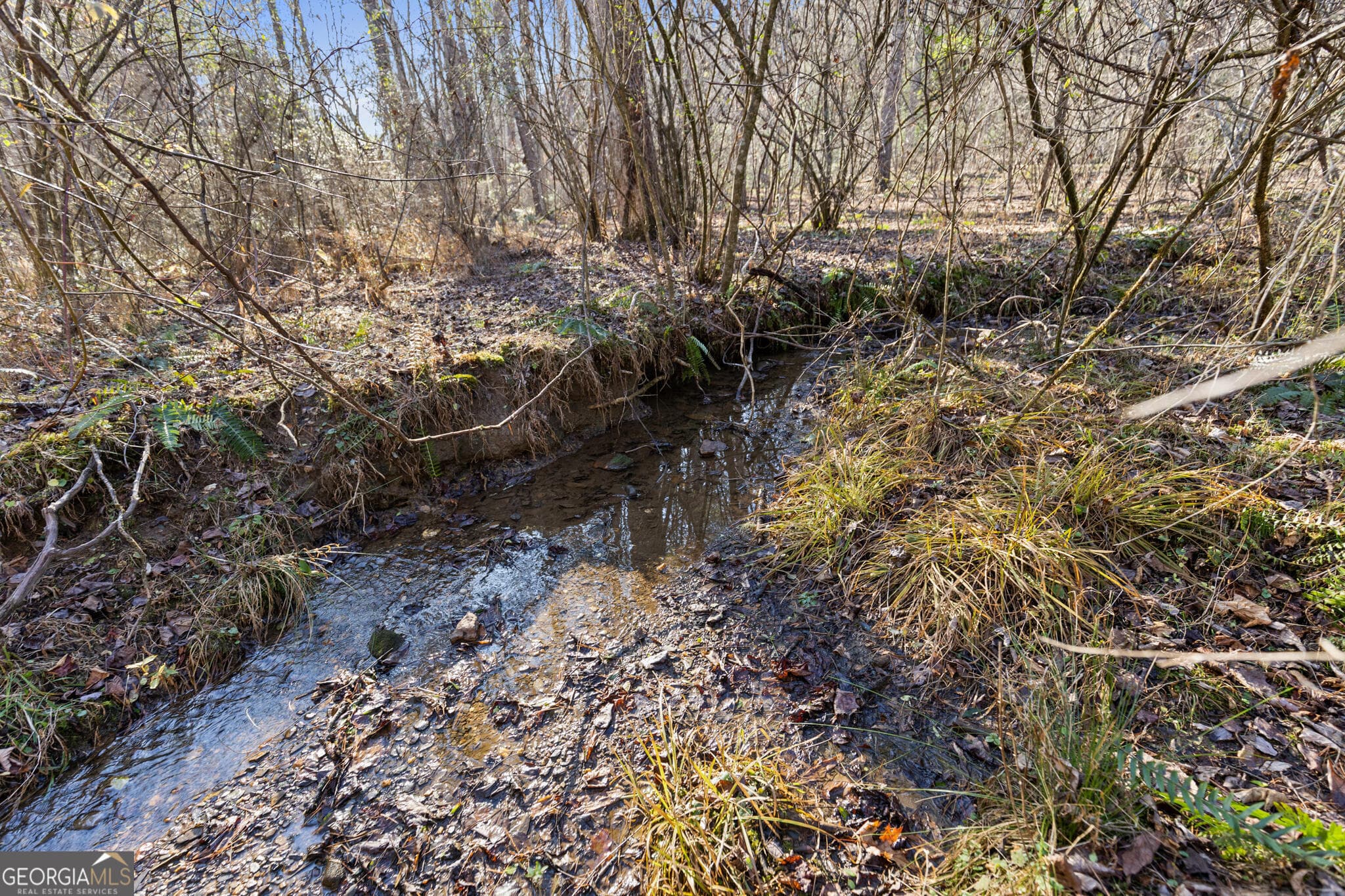agriculture for sale at 0 Scots Glen, Mineral Bluff, GA 30559 — photo 4