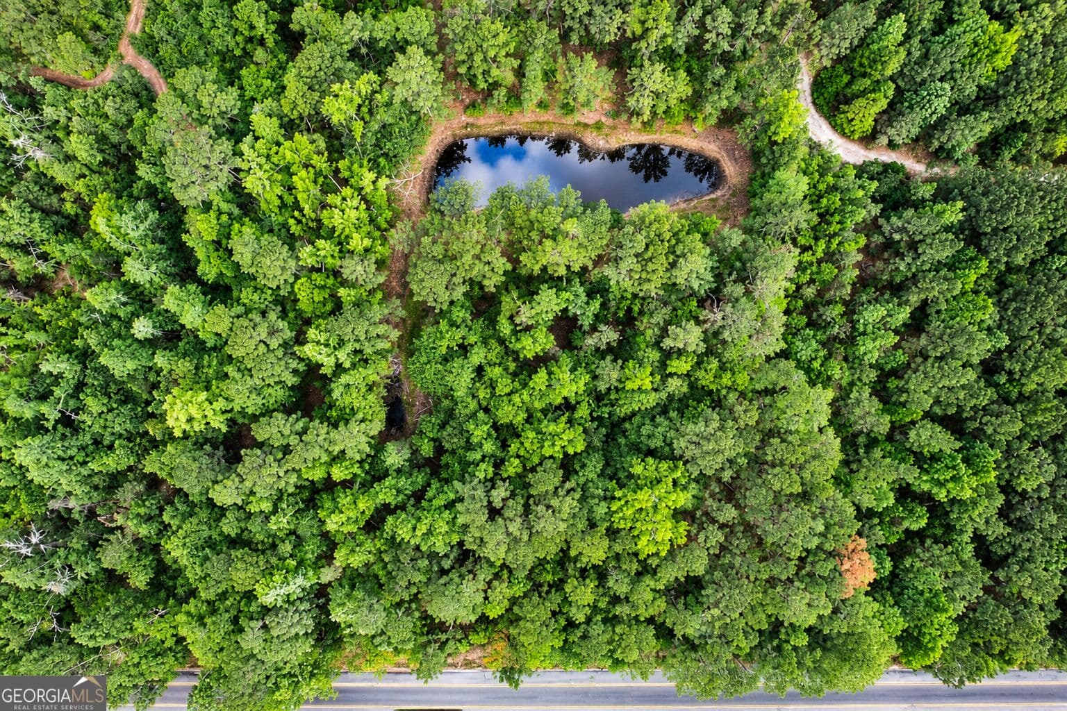 residential lot for sale at 1.5 ACRES Mt Pleasant Road, Clyo, GA 31303 — photo 2