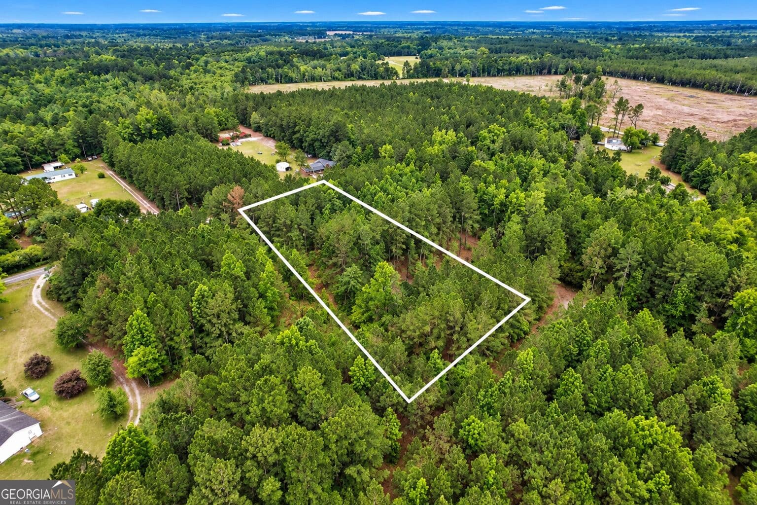 residential lot for sale at 1.5 ACRES Mt Pleasant Road, Clyo, GA 31303 — photo 5