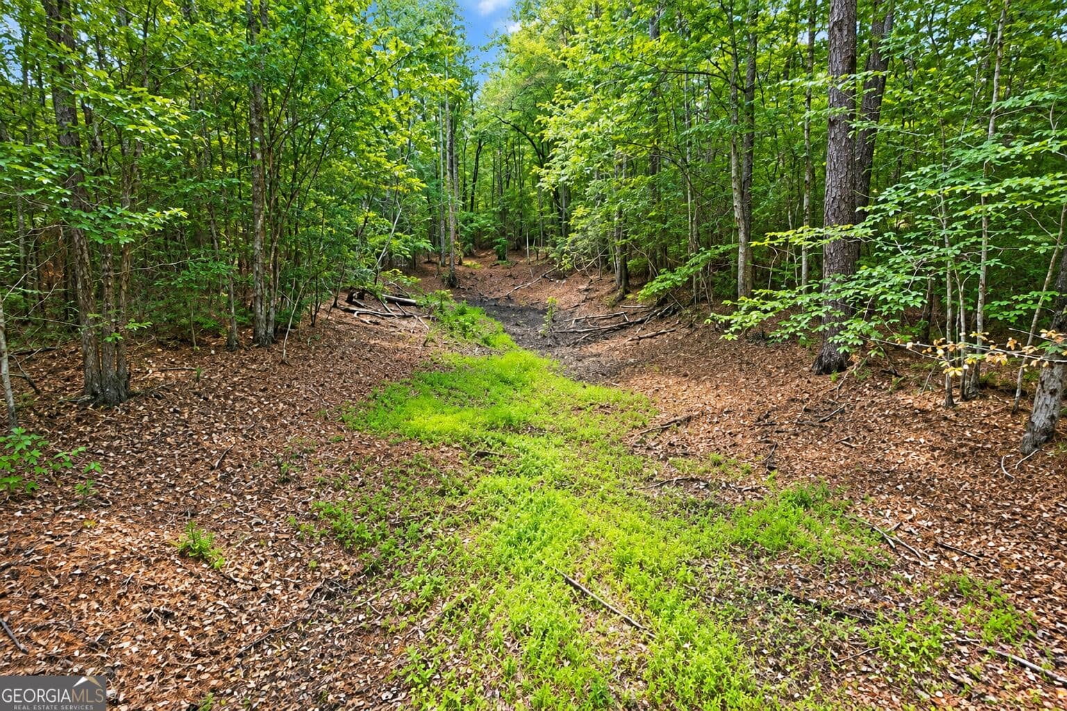 residential lot for sale at 1.5 ACRES Mt Pleasant Road, Clyo, GA 31303 — photo 10