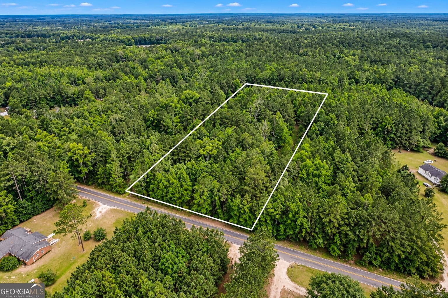 residential lot for sale at 1.5 ACRES Mt Pleasant Road, Clyo, GA 31303 — photo 4