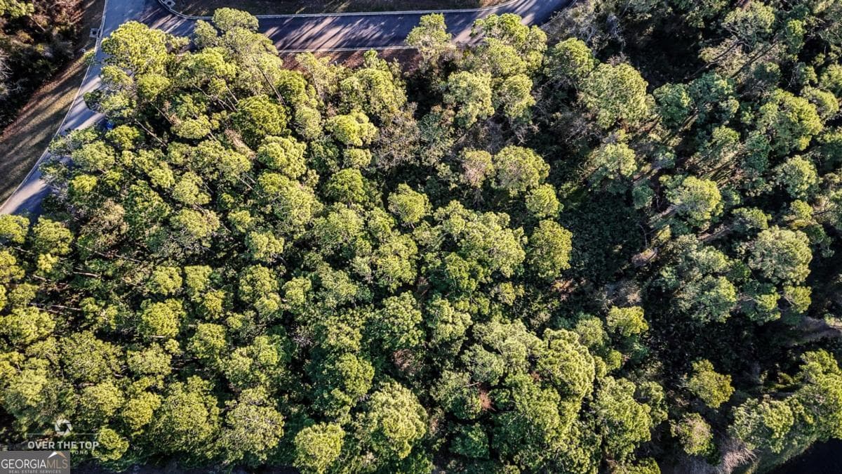 residential lot for sale at V/L 810 Galley Lane, St. Marys, GA 31558 — photo 3