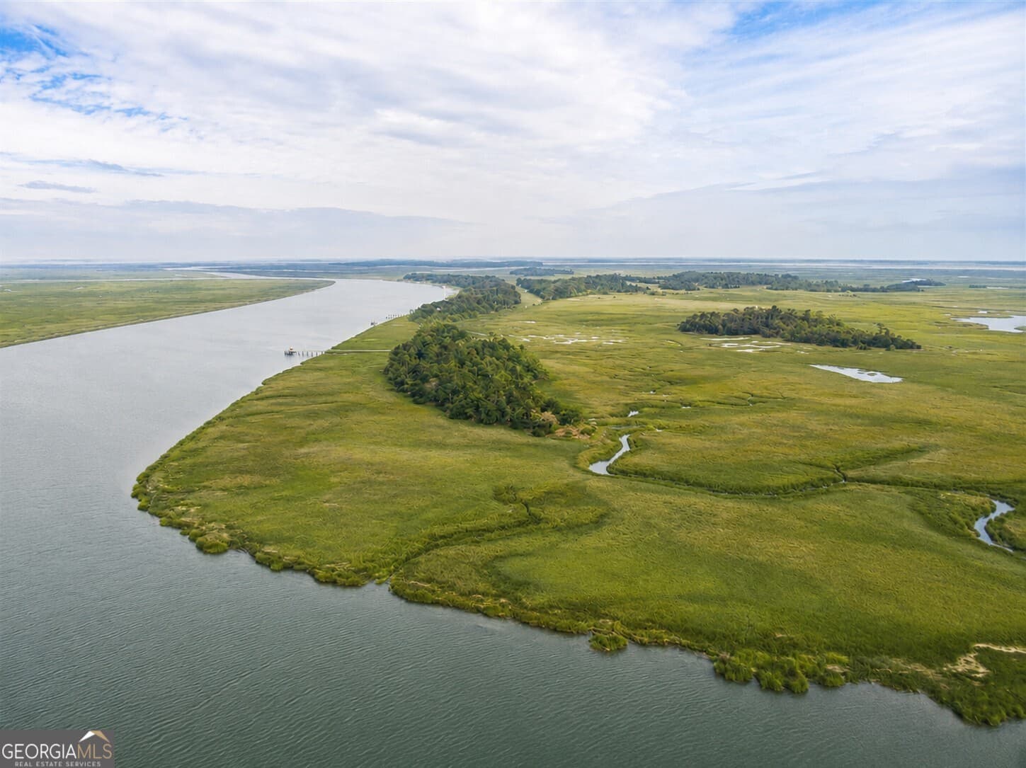 agriculture for sale at 0 Lower Barbour Island, Townsend, GA 31331