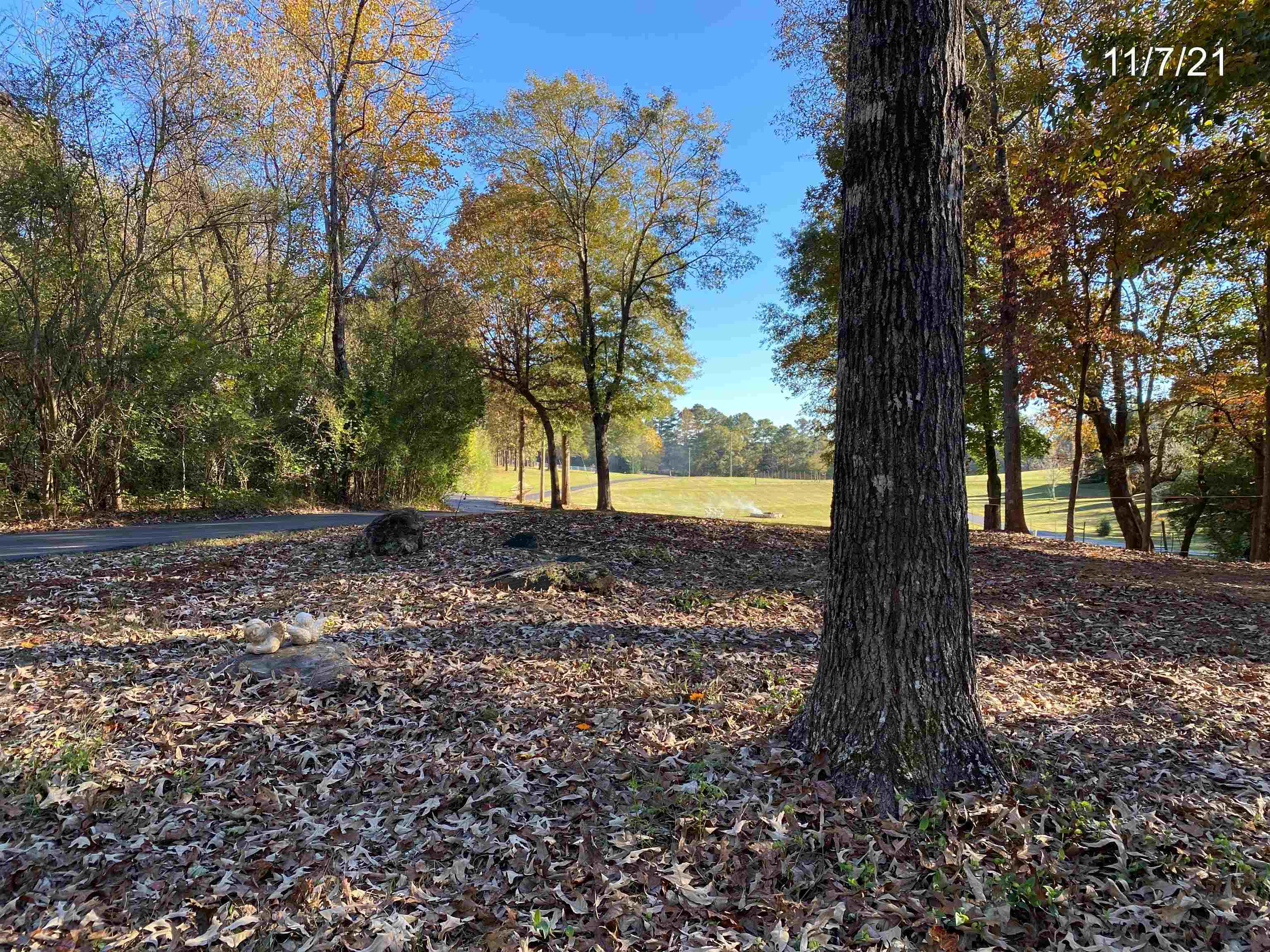 3 bedroom, 3 bathroom, 2,600 sq ft single family residence for rent at 467 Hickory Grove Ch Road, Monroe, GA 30656 for $2,200 a month — photo 10