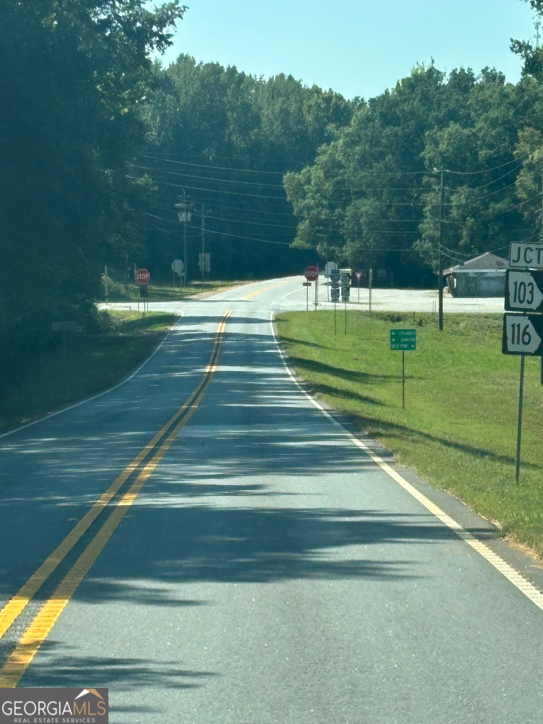 unimproved land for sale at 0 Ga Highway 0116, West Point, GA 31833 — photo 2