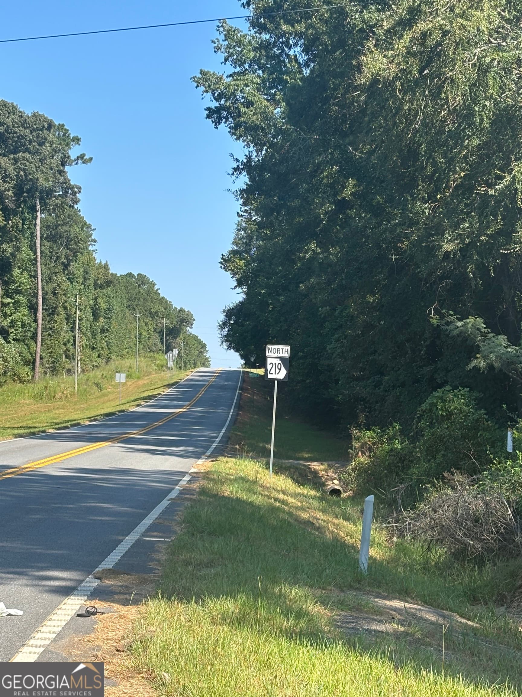 unimproved land for sale at 0 Ga Highway 0116, West Point, GA 31833 — photo 3
