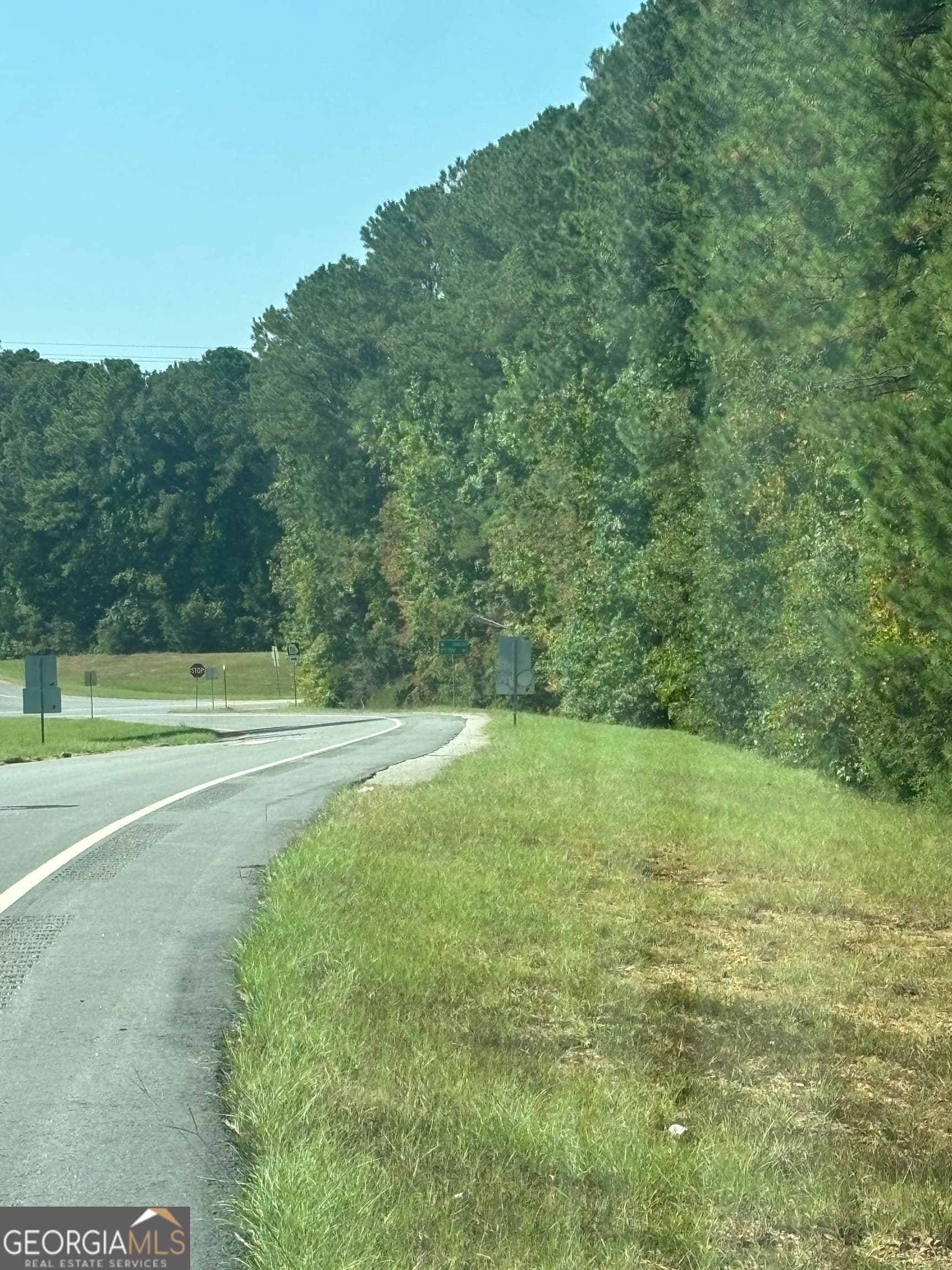 unimproved land for sale at 0 Ga Highway 0116, West Point, GA 31833 — photo 5