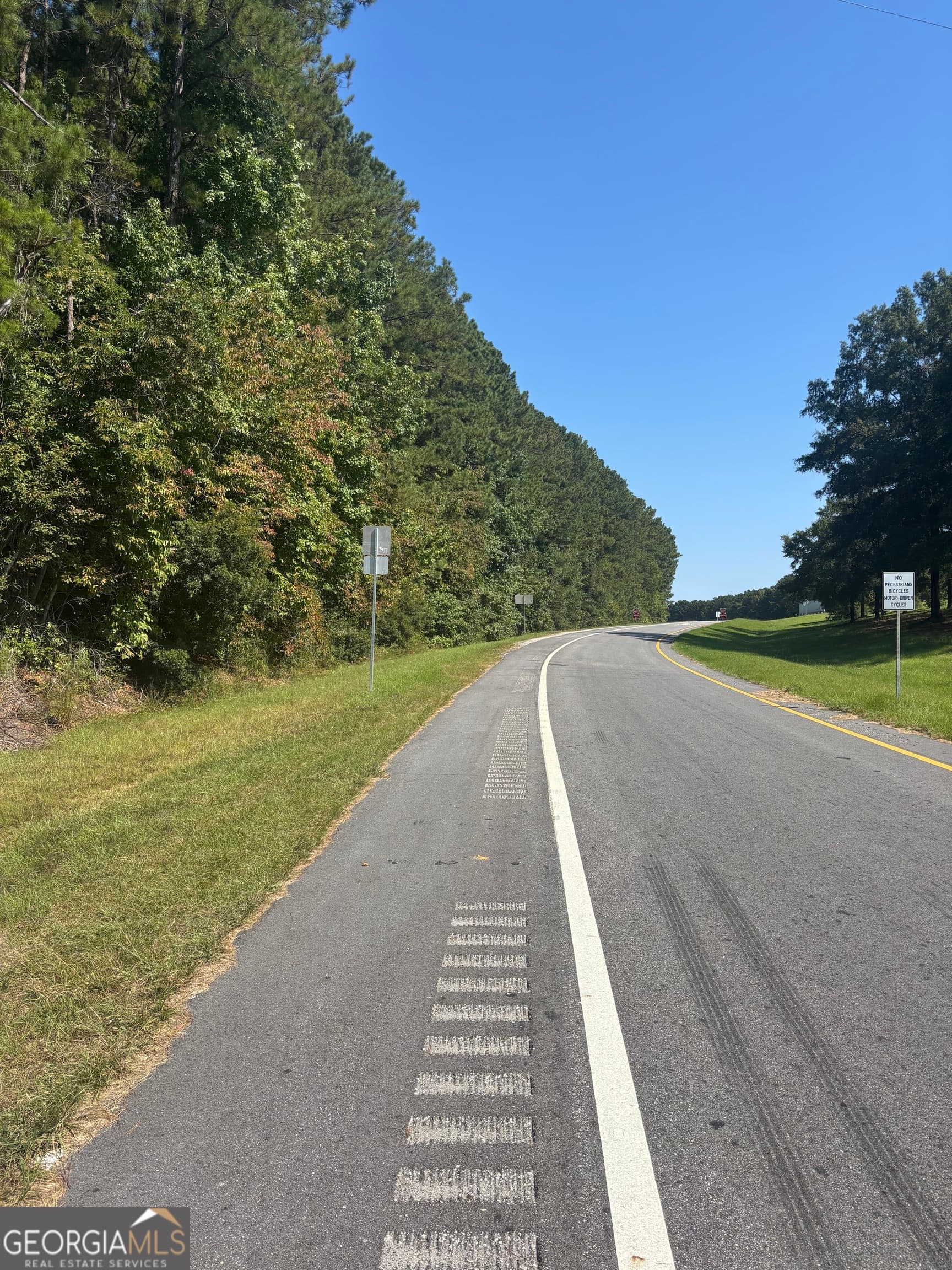 unimproved land for sale at 0 Ga Highway 0116, West Point, GA 31833 — photo 4