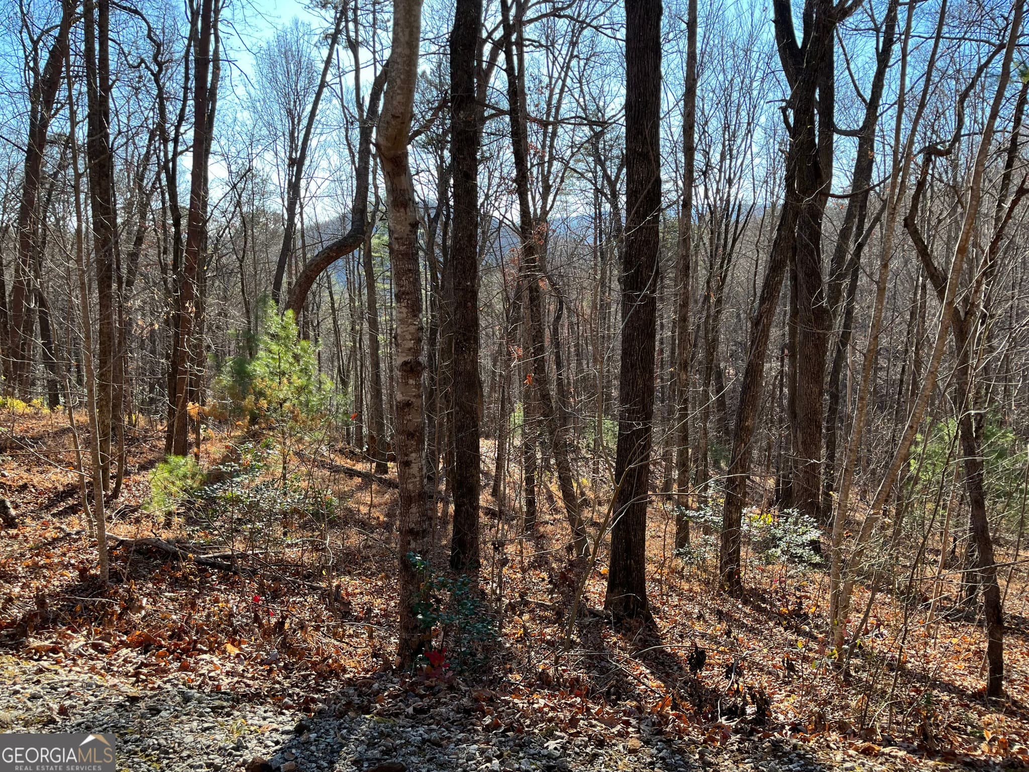 unimproved land for sale at LOT #1 Forest Canopy Way, Clayton, GA 30525 — photo 6