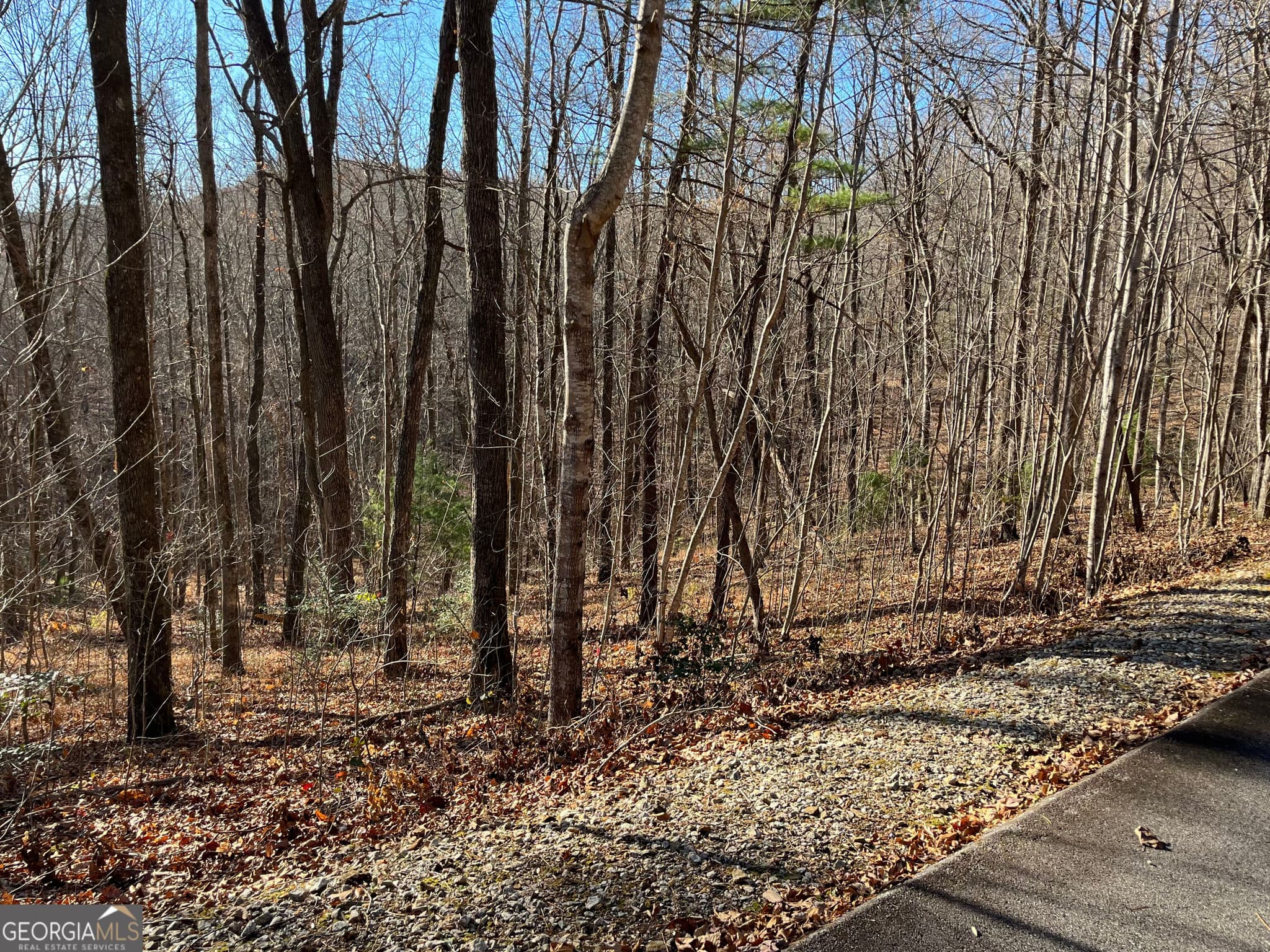 unimproved land for sale at LOT #1 Forest Canopy Way, Clayton, GA 30525 — photo 7