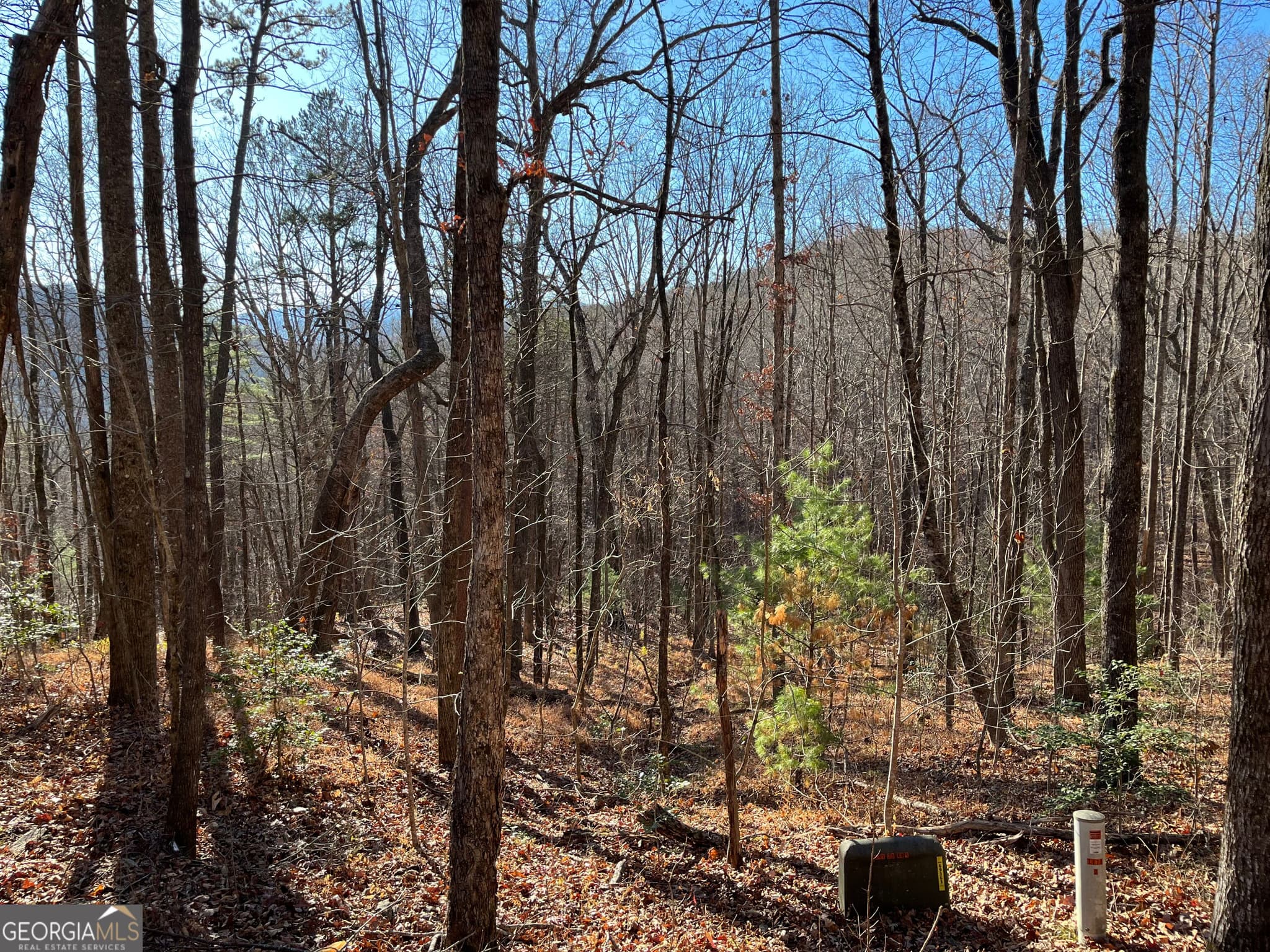 unimproved land for sale at LOT #1 Forest Canopy Way, Clayton, GA 30525 — photo 1 of 7