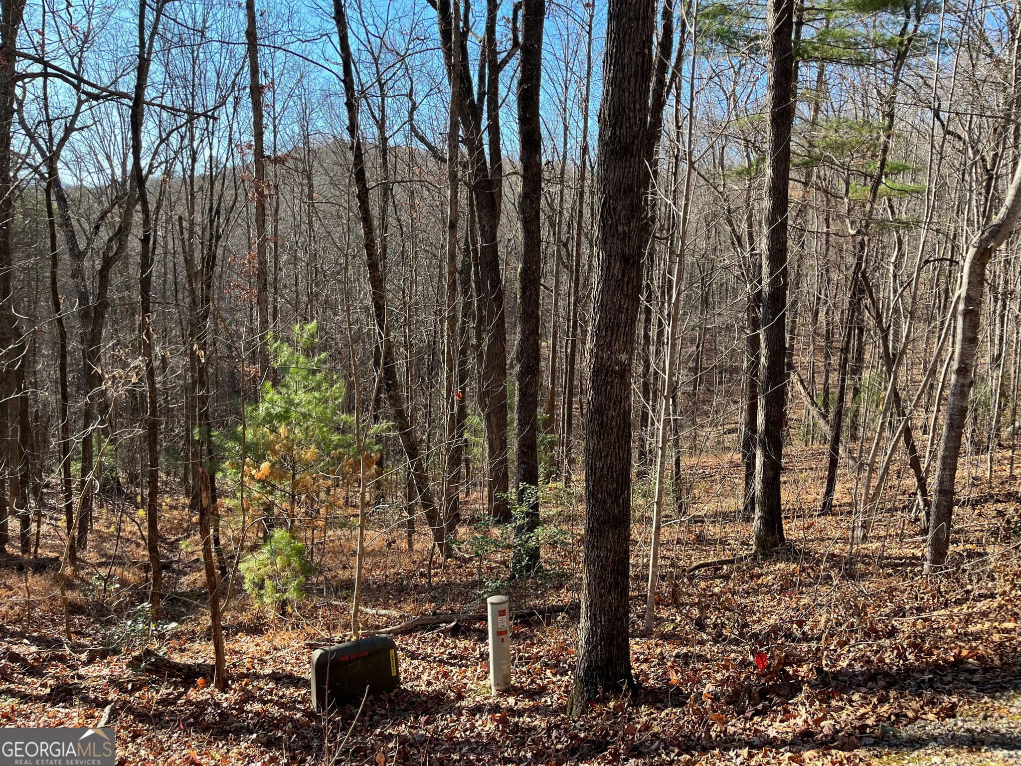 unimproved land for sale at LOT #1 Forest Canopy Way, Clayton, GA 30525 — photo 5