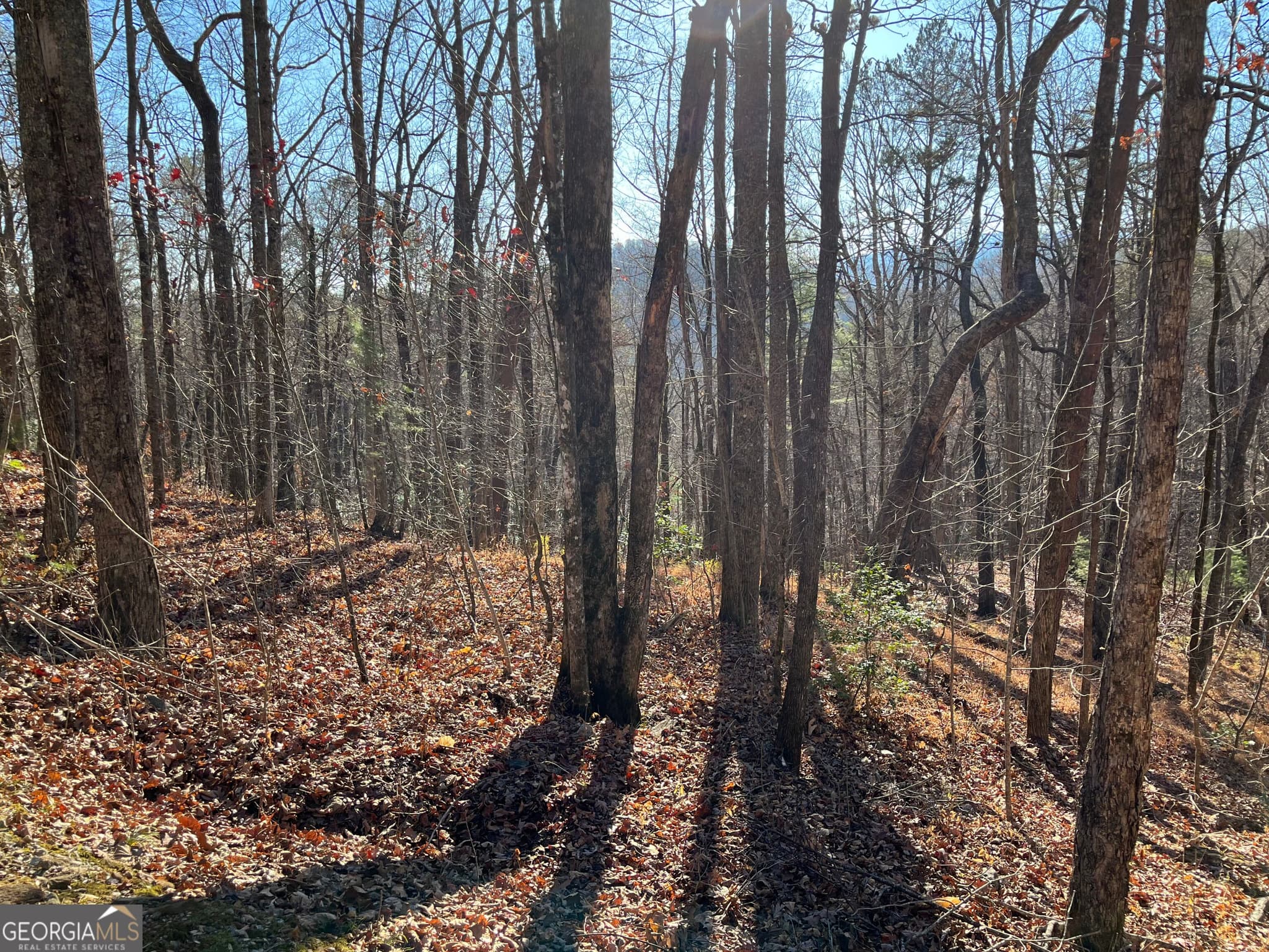 unimproved land for sale at LOT #1 Forest Canopy Way, Clayton, GA 30525 — photo 4
